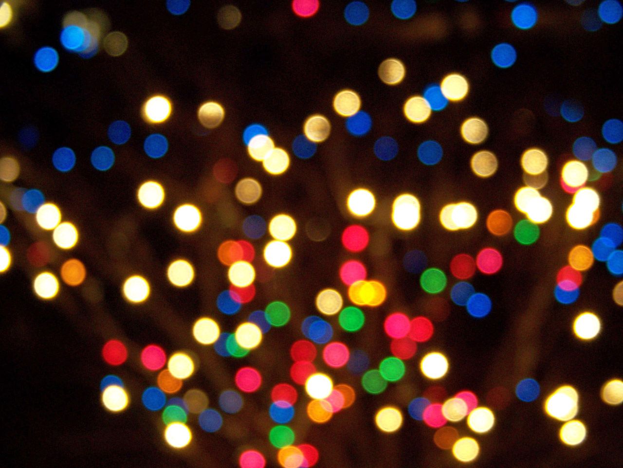 Top Tips For Using Christmas Lights Birstall Garden & Leisure