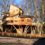 garden pic 6 garden pic 6