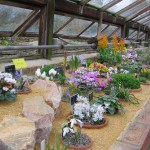 house pic 4 house pic 4