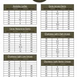 LE CHAMEAU SIZING 1 LE CHAMEAU SIZING 1