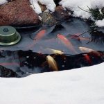 pond heater