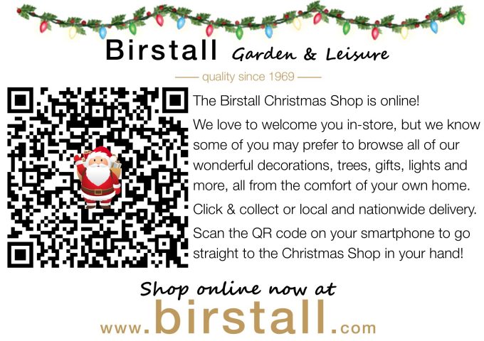 xmas leaflet 2
