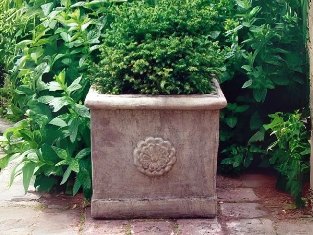 Lucas Stone Vienna Vases