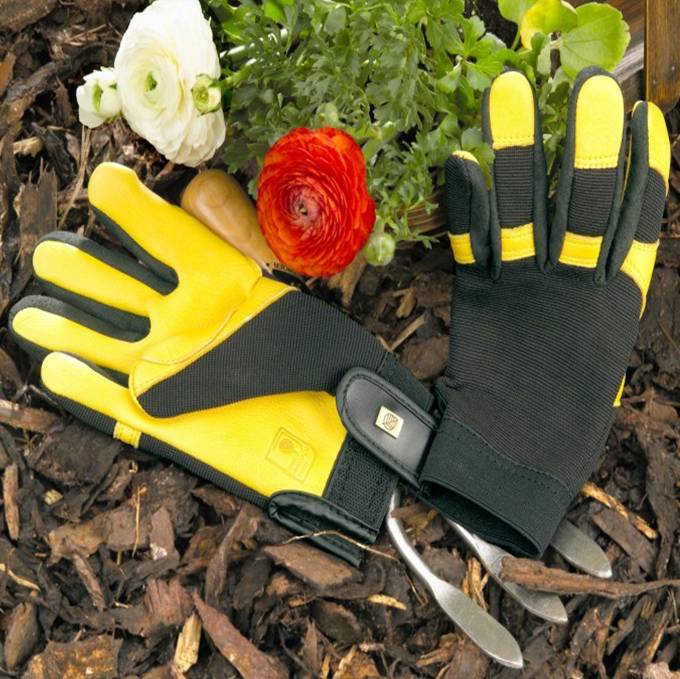 Gold Leaf Soft Touch RHS endorsed leather gardening gloves Birstall