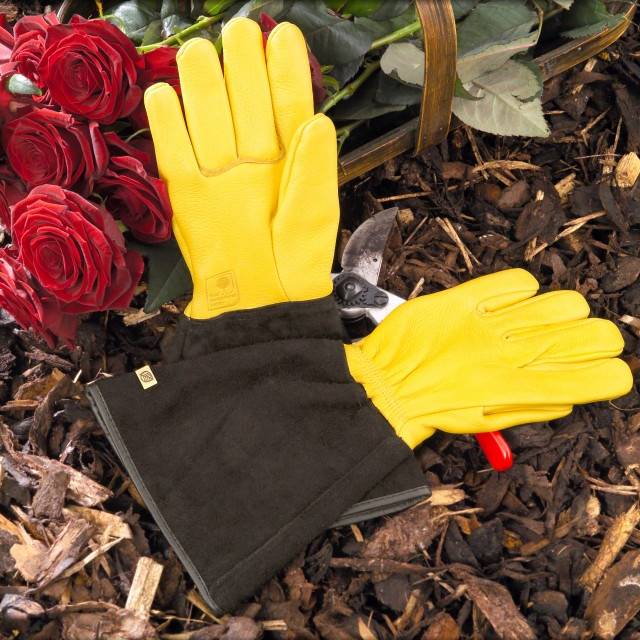 Gold Leaf Tough Touch RHS endorsed leather gardening gloves Birstall