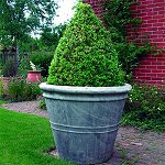 Lucas Stone Garden Statuary