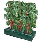 Garland Patio Gardening