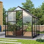 6' x 8' Vitavia Venus 5000