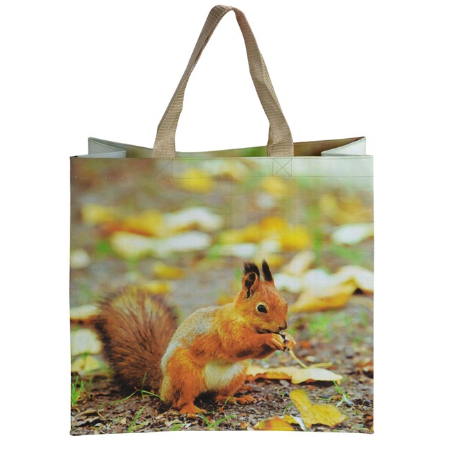 Squirrel Pattern Shopping / Storage Bag The Christmas Collection