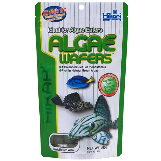 Hikari Aquarium Fish Food Algae Wafers Birstall