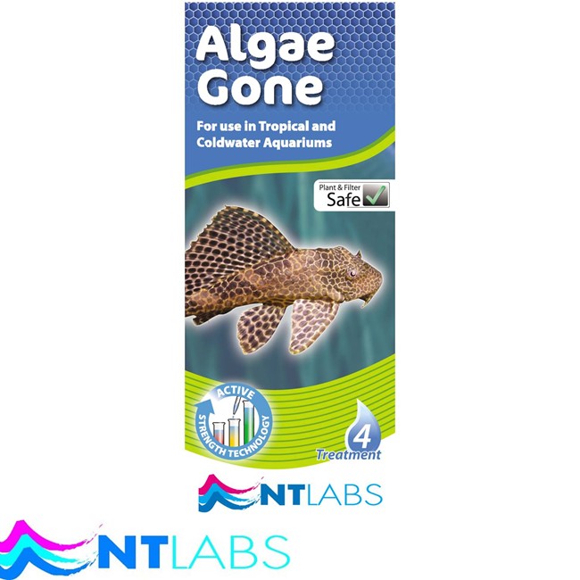 NT Labs Aquarium Algea Gone Algea Control Birstall