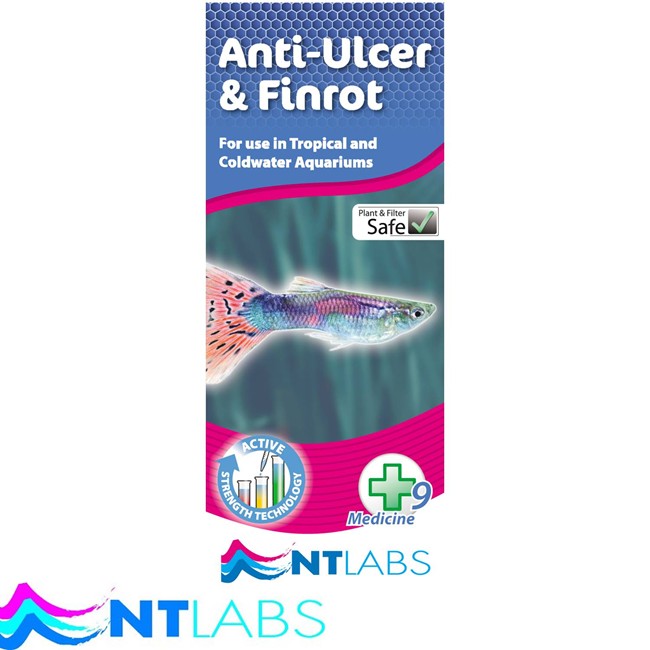 NT Labs Aquarium Anti Ulcer & Finrot Anti Bacterial Treatment Birstall